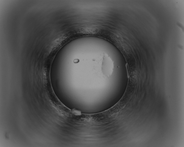 X0000093390688200710191154