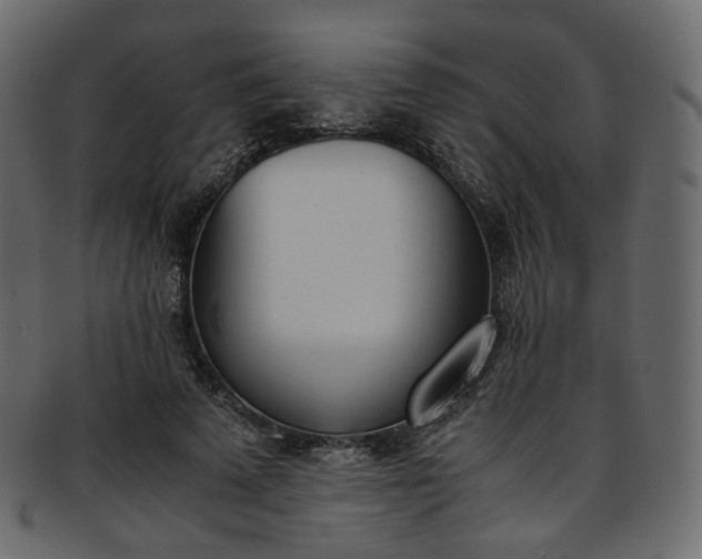 X0000093390689200710191154