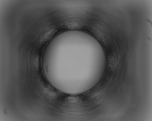 X0000093390690200710191154