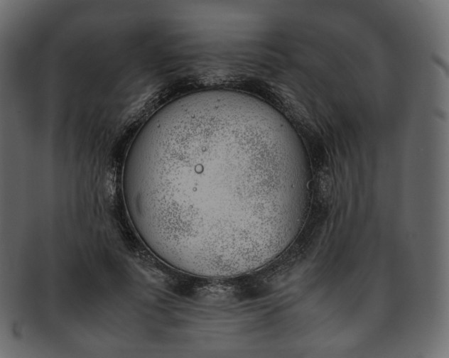 X0000093390691200710191154