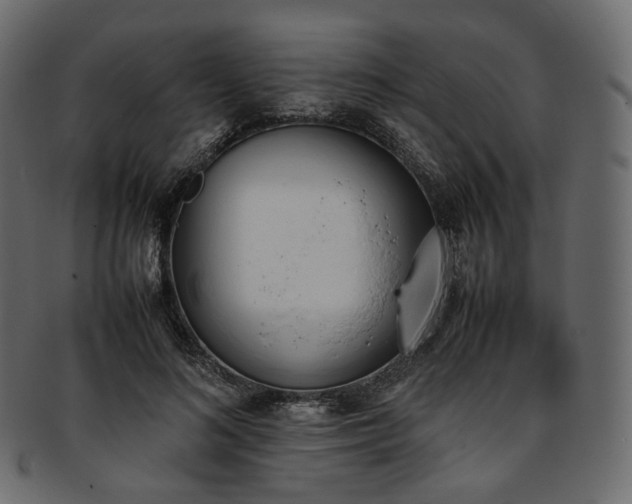 X0000093390692200710191154