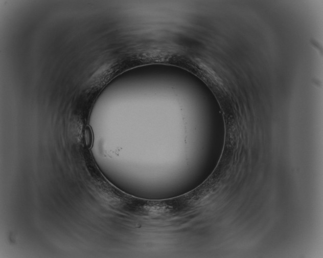 X0000093390693200710191154