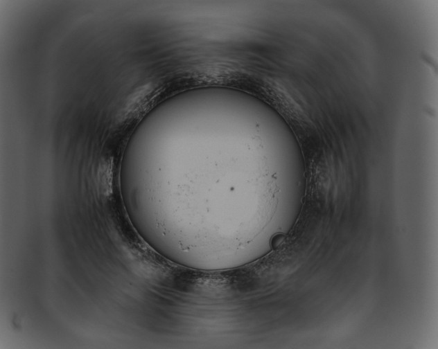 X0000093390694200710191154