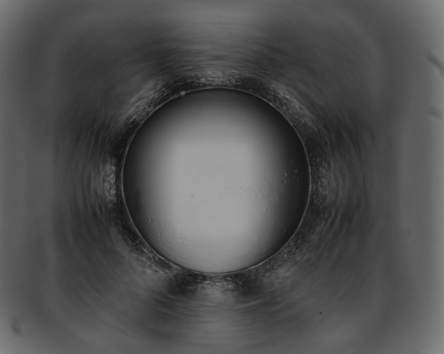 X0000093390696200710191154