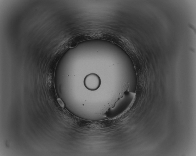 X0000093390697200710191154