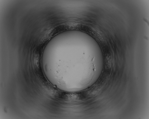 X0000093390698200710191154