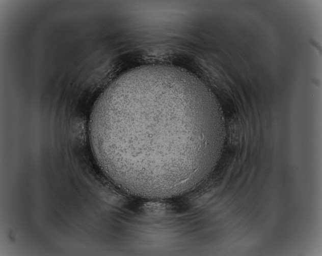 X0000093390699200710191154