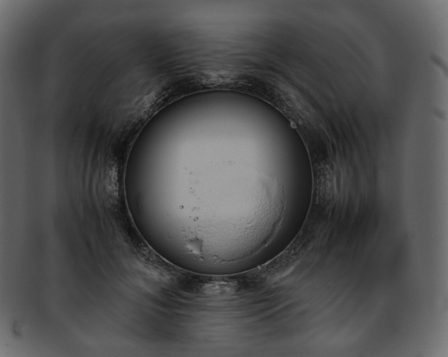 X0000093390700200710191154