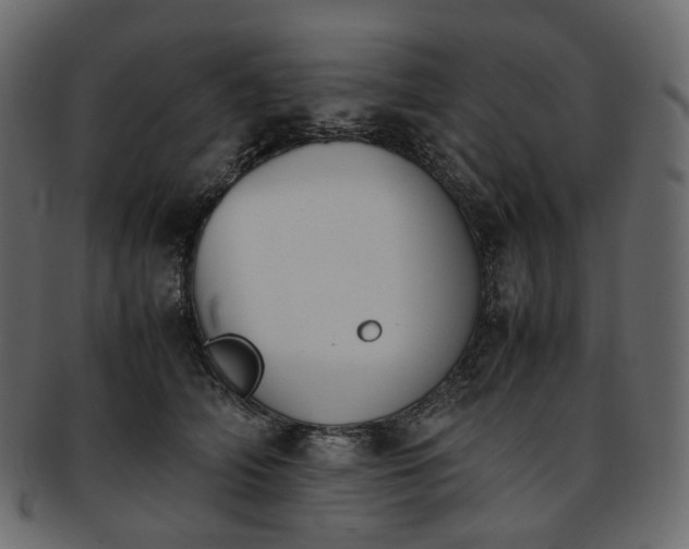 X0000093390706200710191154