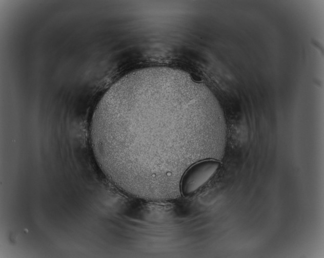 X0000093390707200710191154