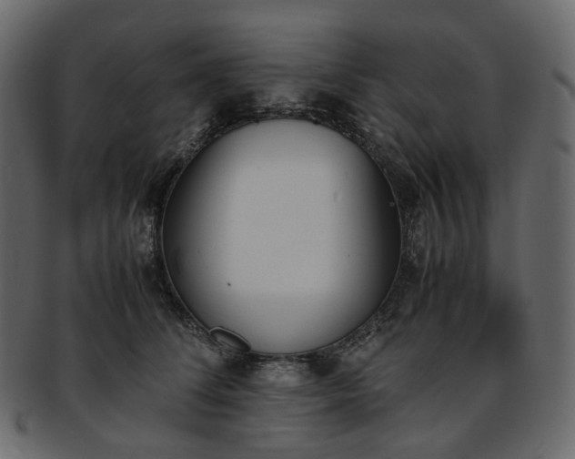 X0000093390708200710191154