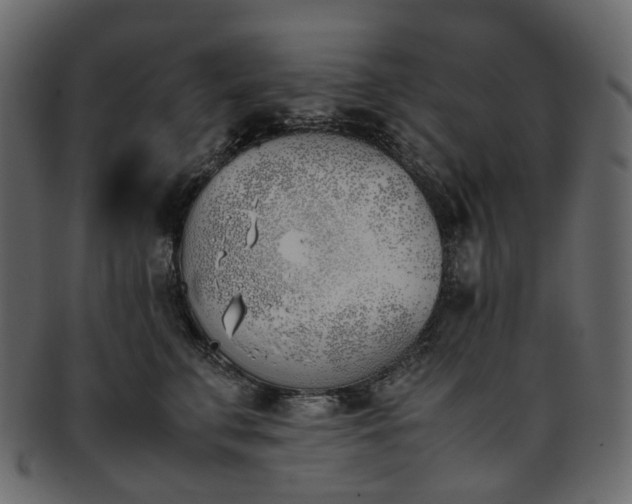 X0000093390711200710191154