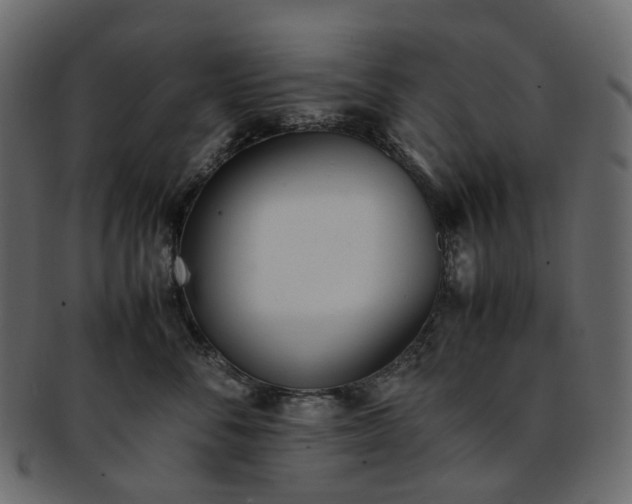 X0000093390716200710191154