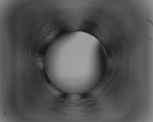 X0000093390719200710191154