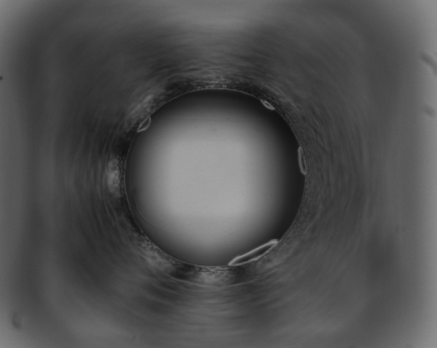 X0000093390720200710191154