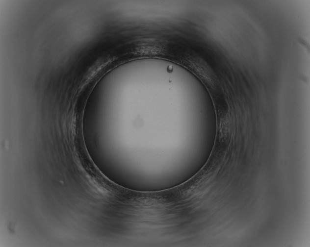 X0000093390722200710191153