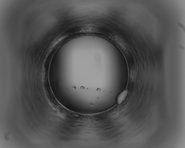 X0000093390724200710191153