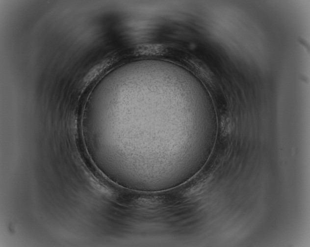 X0000093390725200710191153