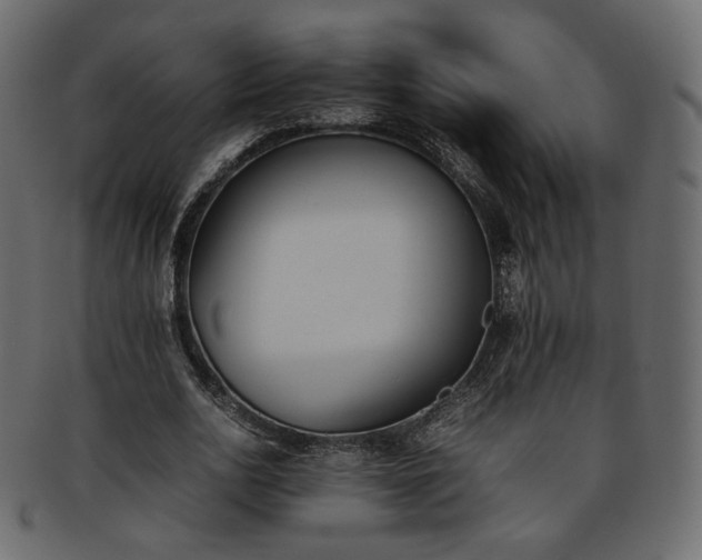 X0000093390726200710191153