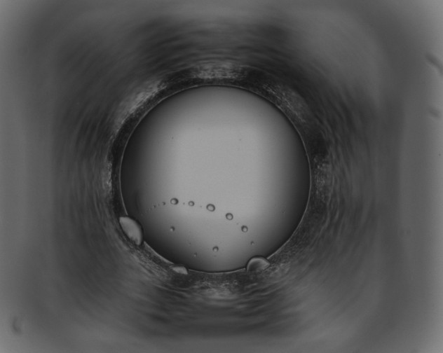 X0000093390727200710191153