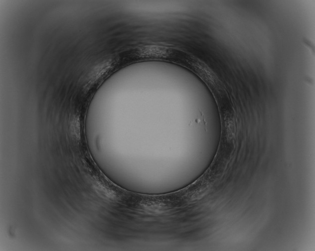 X0000093390729200710191153