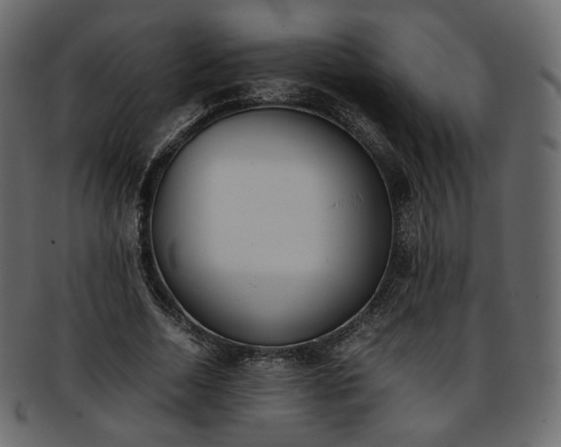 X0000093390730200710191153