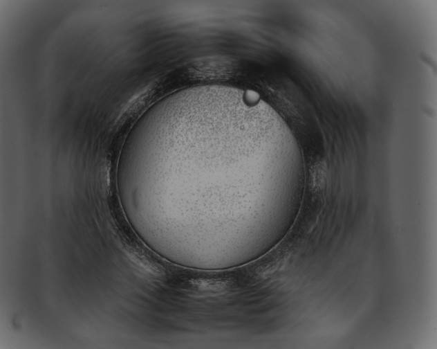 X0000093390733200710191153