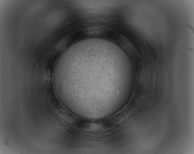 X0000093390737200710191153