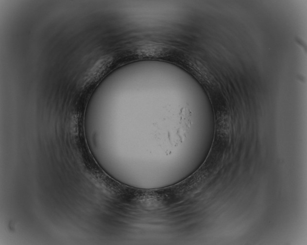 X0000093390738200710191153