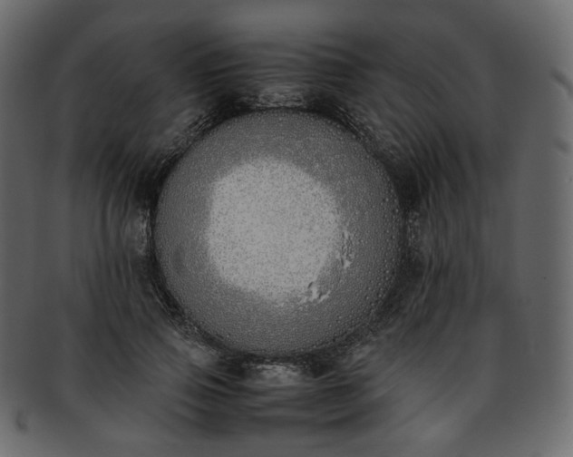 X0000093390741200710191153