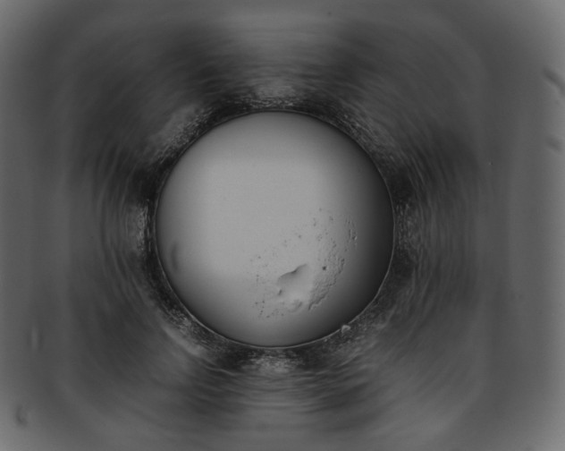 X0000093390742200710191153