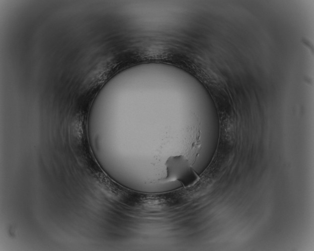 X0000093390746200710191153