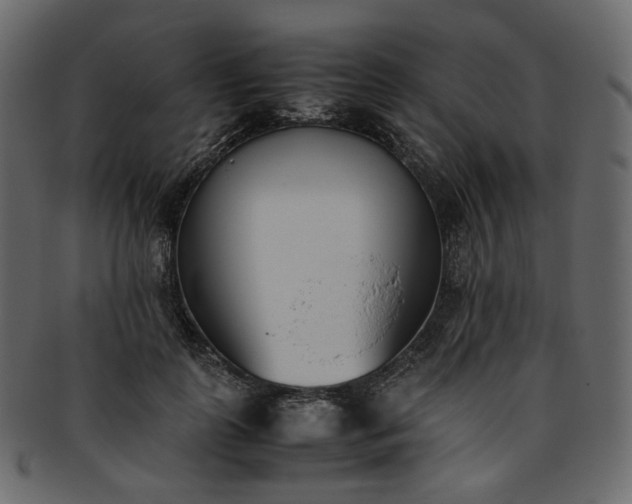 X0000093390747200710191153