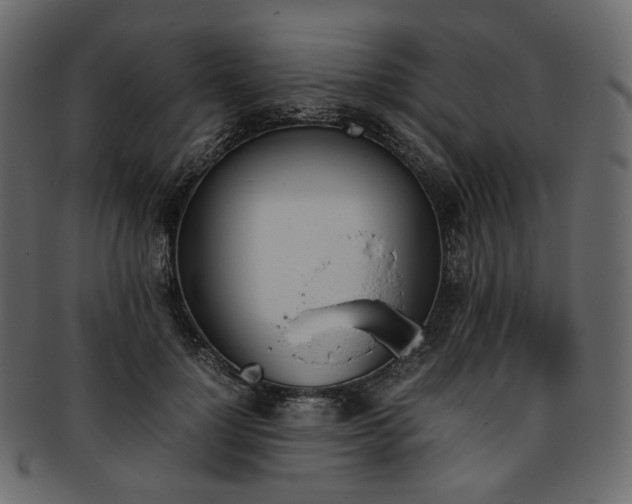 X0000093390748200710191153