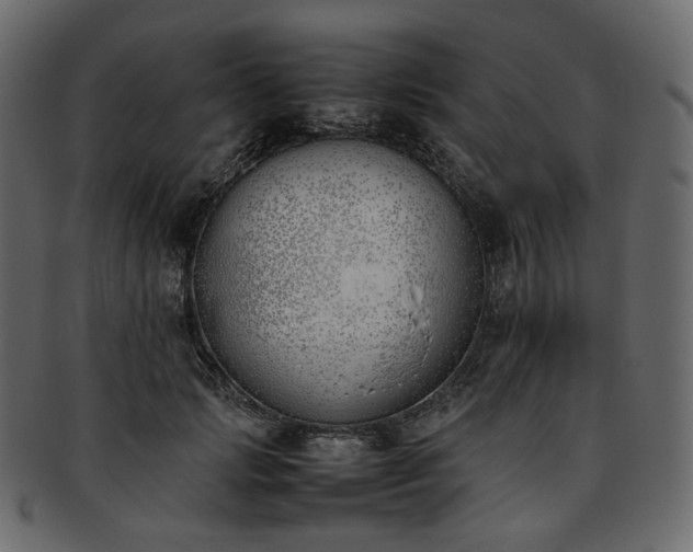 X0000093390749200710191153