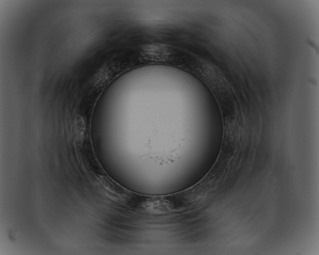 X0000093390752200710191153