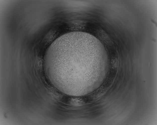 X0000093390753200710191153