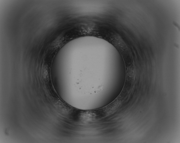 X0000093390754200710191153