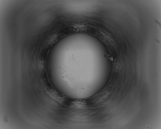 X0000093390756200710191153