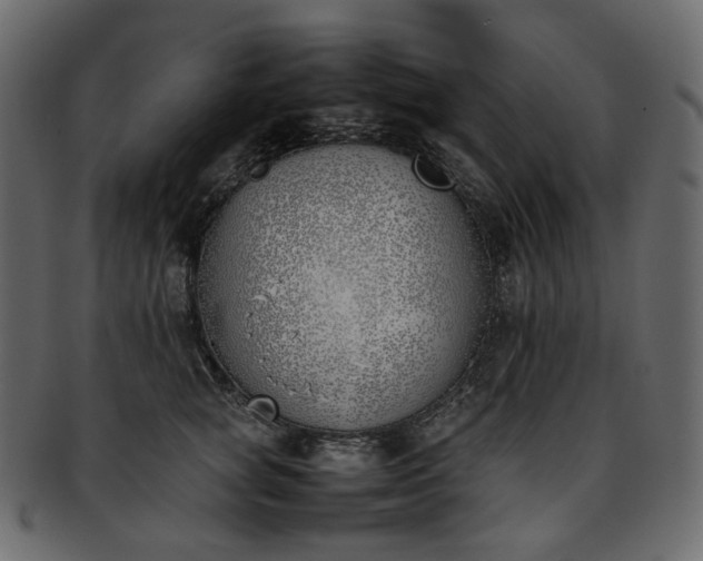 X0000093390757200710191153