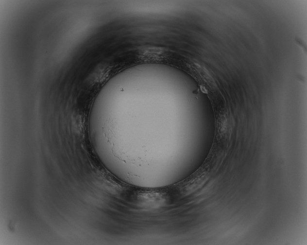 X0000093390759200710191153