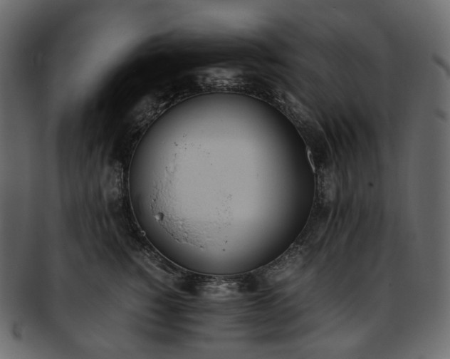 X0000093390760200710191153