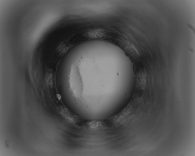 X0000093390762200710191153