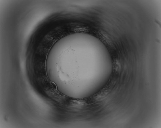 X0000093390763200710191154