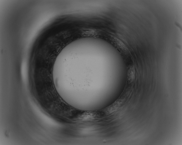 X0000093390764200710191154