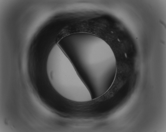 X0000093390766200710191154