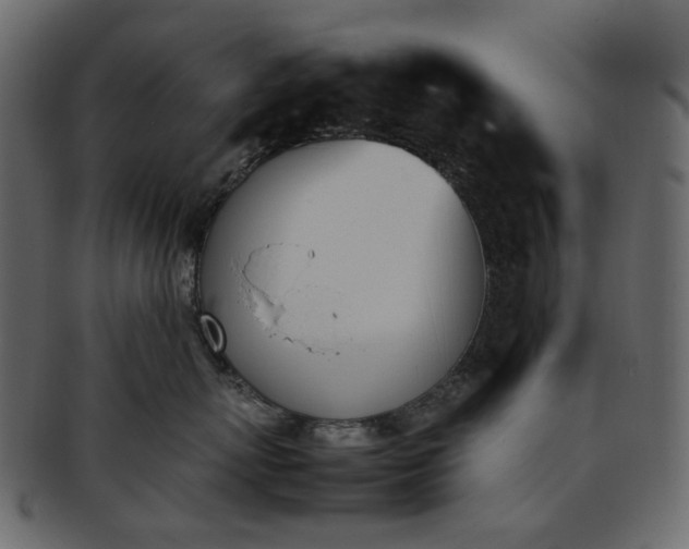 X0000093390767200710191154