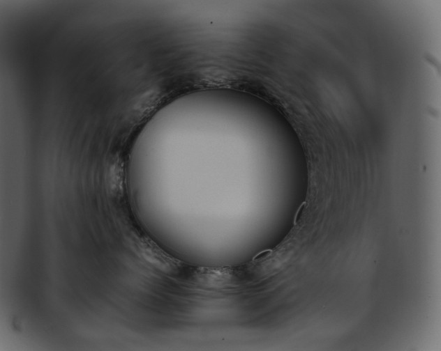 X0000093390768200710191154