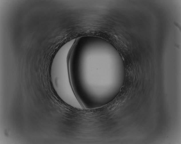 X0000093390769200710191153