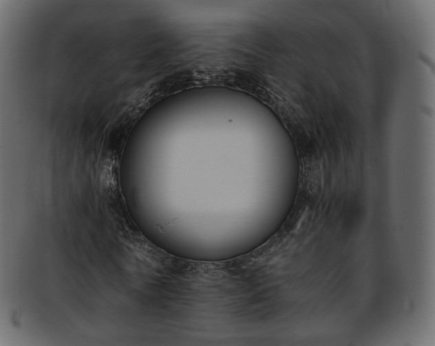 X0000093390770200710191153